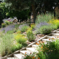 Xeriscaping: A Smart Solution for Water Management and Conservation