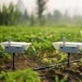 How to Effectively Manage Your Watering Schedule with Smart Sensors