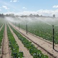 Understanding Climate and Weather Patterns for Efficient Irrigation Schedules