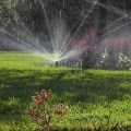 Adjusting for Seasonal Changes in Your Irrigation Schedule