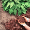 A Complete Guide to Mulching for Water Management and Conservation