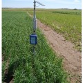 Real-time Monitoring for Efficient Irrigation Schedules