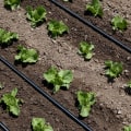 Understanding Soil Type and Condition for Efficient Irrigation