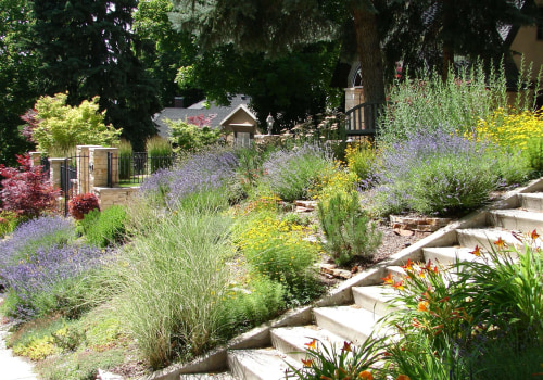 Xeriscaping: A Smart Solution for Water Management and Conservation