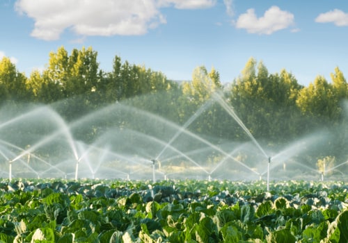 Optimized Irrigation Schedule: The Ultimate Solution for Water Conservation