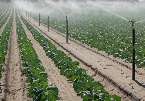 Understanding Climate and Weather Patterns for Efficient Irrigation Schedules