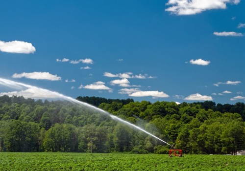 The Convenience of Remote Access and Control for Smart Irrigation Systems