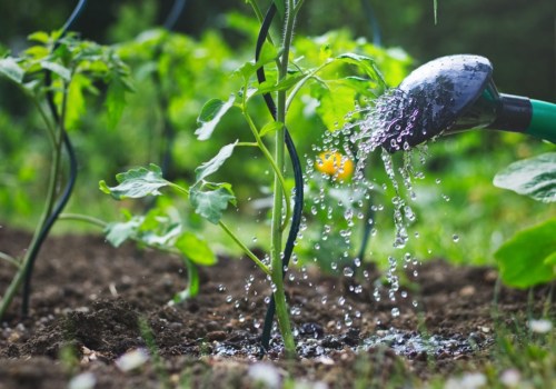 Understanding Plant Types and Water Needs for Efficient Irrigation Schedules