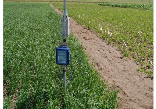 Real-time Monitoring for Efficient Irrigation Schedules