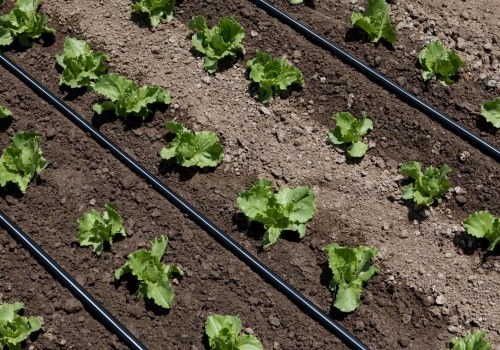 Understanding Soil Type and Condition for Efficient Irrigation